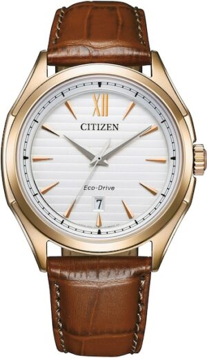 Citizen Solaruhr »AW1753-10A«