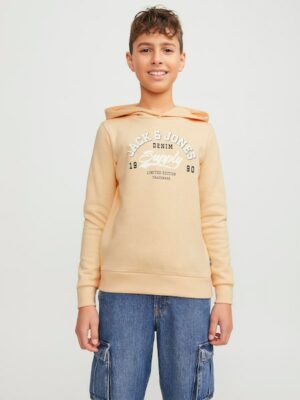 Jack & Jones Junior Hoodie »JJELOGO SWEAT HOOD 2 COL 24 SN JNR«