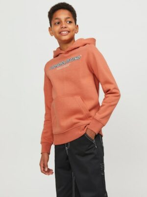 Jack & Jones Junior Kapuzensweatshirt »JORLAKEWOOD SWEAT HOOD BF JNR«