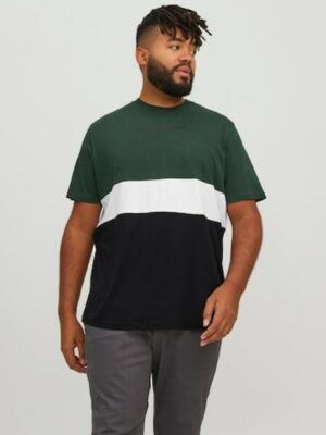 Jack & Jones PlusSize Rundhalsshirt »JJEREID BLOCKING TEE SS NOOS PLS«