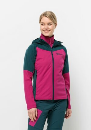 Jack Wolfskin Outdoorjacke »BRISSTAL HOODY W«