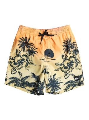 Quiksilver Badeshorts »Everyday Paradise 14"«