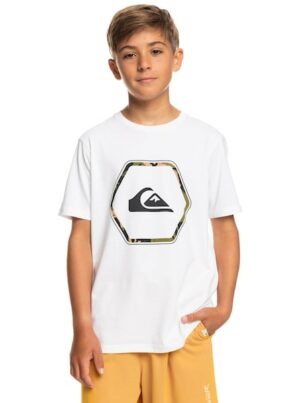 Quiksilver T-Shirt »In Shapes«