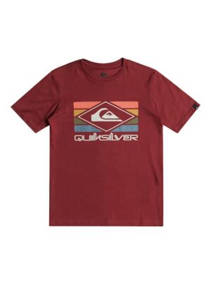 Quiksilver T-Shirt »Qs Rainbow«