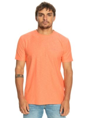 Quiksilver T-Shirt »Slub Roundneck«