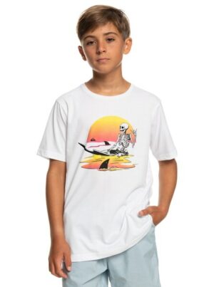 Quiksilver T-Shirt »Sunset Session«